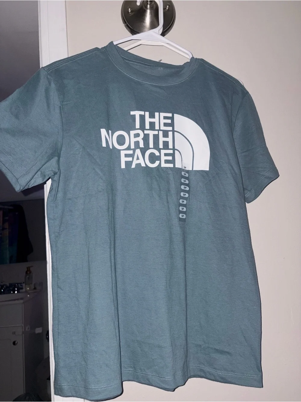 The North Face Dusty Teal Relaxed Fit Logo Tee